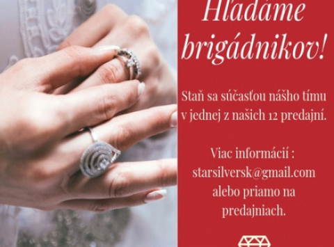 Hľadáte vianočnú brigádu ?