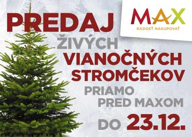 Predaj vianočných stromčekov v nákupnom centre OC MAX Nitra