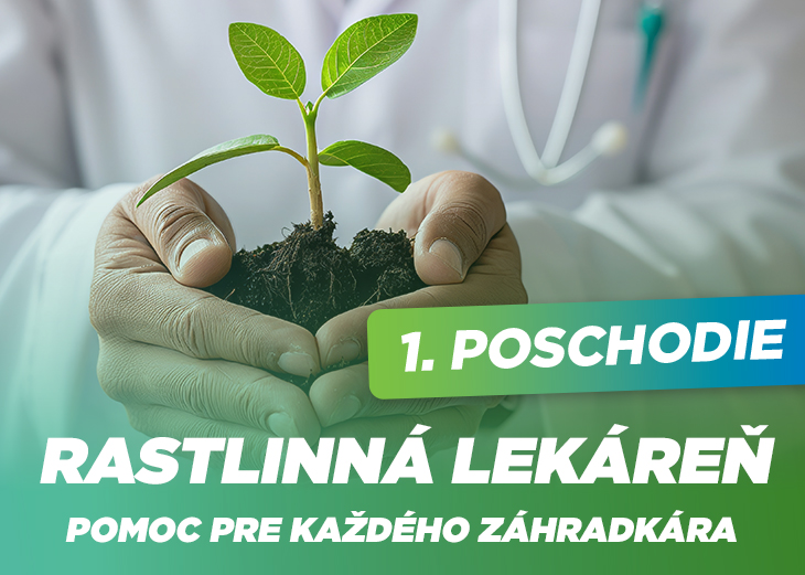 Rastlinná lekáreň Ecophyta